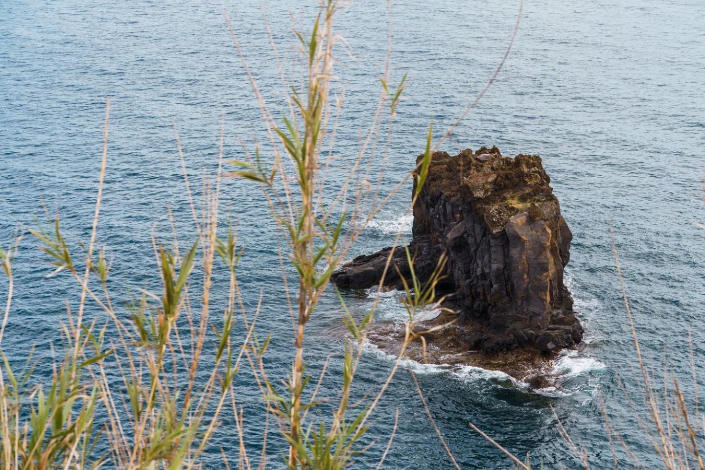 Sunny Getaway In Funchal Διαμέρισμα Εξωτερικό φωτογραφία